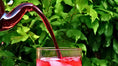 Load image into Gallery viewer, Heirloom Hibiscus Tea - IZEM
