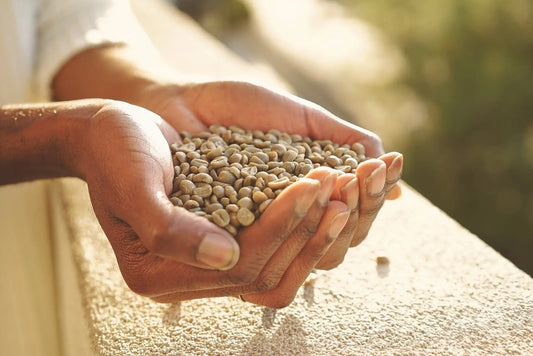 Jamaica Blue Mountain Coffee - IZEM